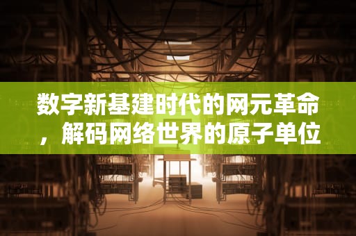 数字新基建时代的网元革命，解码网络世界的原子单位，网元圣唐