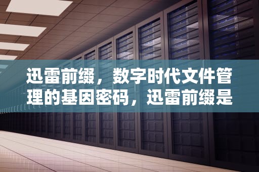迅雷前缀，数字时代文件管理的基因密码，迅雷前缀是什么