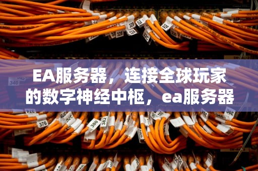 EA服务器，连接全球玩家的数字神经中枢，ea服务器连不上
