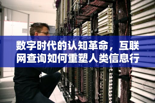 数字时代的认知革命，互联网查询如何重塑人类信息行为，网上查询个人征信报告