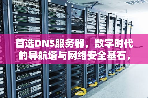 首选DNS服务器，数字时代的导航塔与网络安全基石，首选DNS服务器填什么