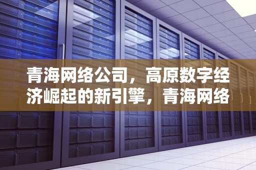 青海网络公司，高原数字经济崛起的新引擎，青海网络公司客服电话
