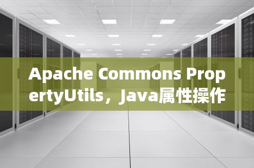 Apache Commons PropertyUtils，Java属性操作的利器解析与实践指南，propertyutils.describe