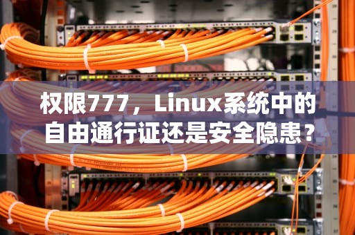 权限777，Linux系统中的自由通行证还是安全隐患？权限777和775分别是什么