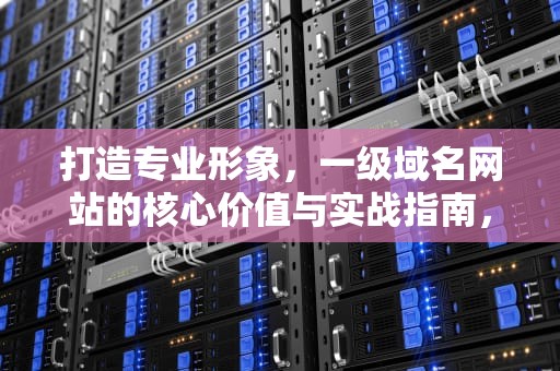 打造专业形象，一级域名网站的核心价值与实战指南，一级域名网站申请