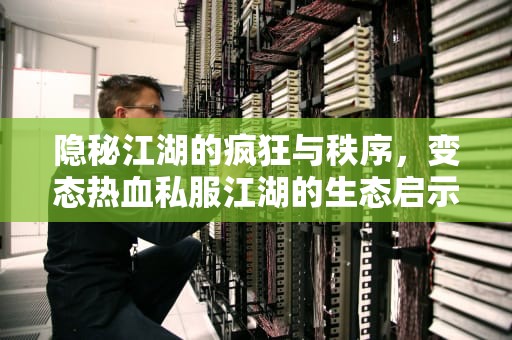 隐秘江湖的疯狂与秩序，变态热血私服江湖的生态启示录，变态热血江湖升级快