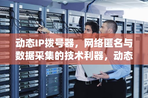 动态IP拨号器，网络匿名与数据采集的技术利器，动态拨号ip地址