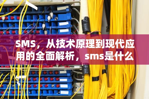 SMS，从技术原理到现代应用的全面解析，sms是什么意思s和m分别是什么意思