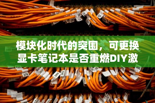 模块化时代的突围，可更换显卡笔记本是否重燃DIY激情？能换显卡的笔记本电脑