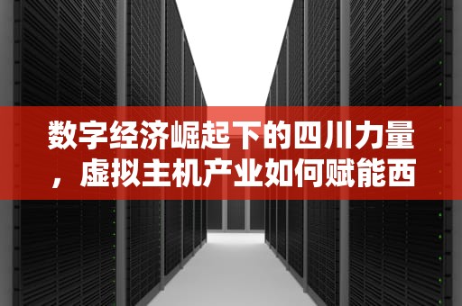 数字经济崛起下的四川力量，虚拟主机产业如何赋能西部数字化转型，四川虚拟主机生产厂家