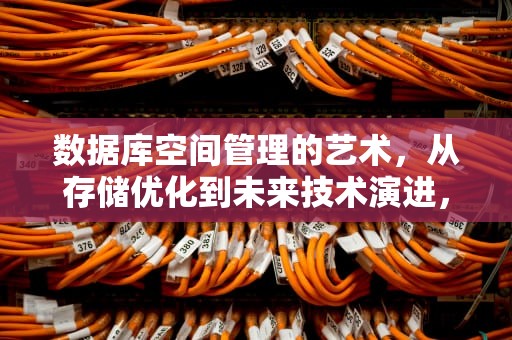 数据库空间管理的艺术，从存储优化到未来技术演进，可信数据库空间