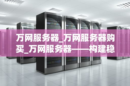 万网服务器_万网服务器购买_万网服务器——构建稳定高效的网络环境