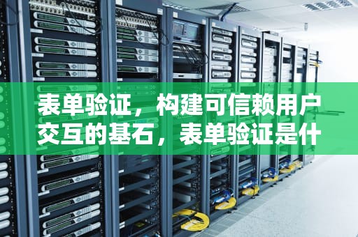 表单验证，构建可信赖用户交互的基石，表单验证是什么意思
