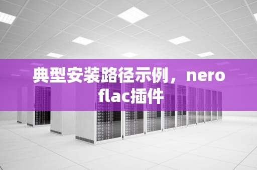 典型安装路径示例，nero flac插件
