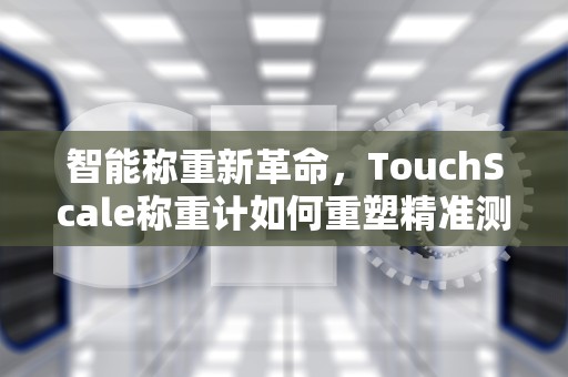 智能称重新革命，TouchScale称重计如何重塑精准测量时代，touchscale称重计算器