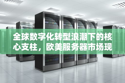 全球数字化转型浪潮下的核心支柱，欧美服务器市场现状与未来展望，欧美服务器排行榜
