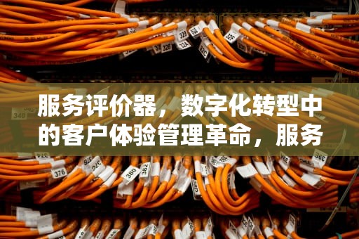 服务评价器，数字化转型中的客户体验管理革命，服务评价器不满意写检讨