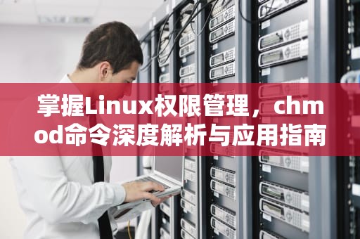 掌握Linux权限管理，chmod命令深度解析与应用指南，chmod命令的作用是什么,如何使用