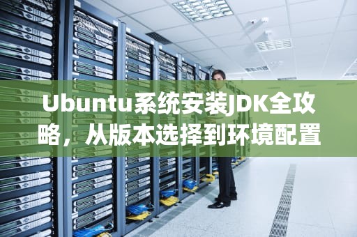 Ubuntu系统安装JDK全攻略，从版本选择到环境配置详解，ubuntu安装jdk1.8并配置环境变量