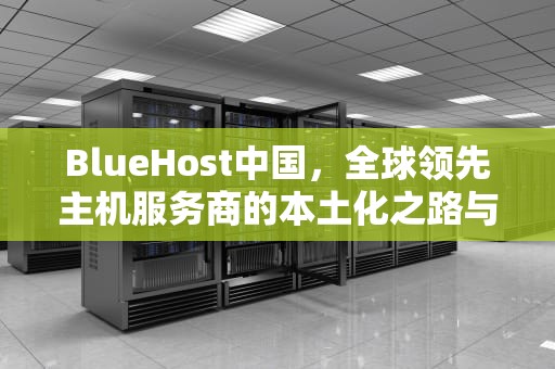 BlueHost中国，全球领先主机服务商的本土化之路与用户体验深度解析，Bluehost中国的空间怎么添加第二个域名