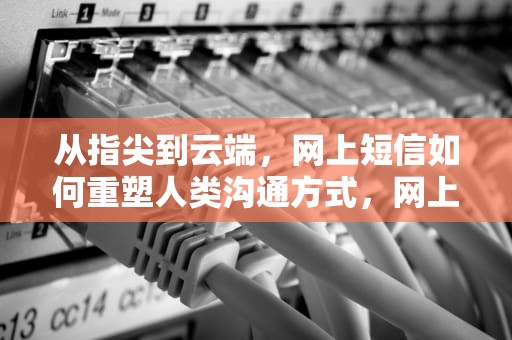 从指尖到云端，网上短信如何重塑人类沟通方式，网上短信报警平台
