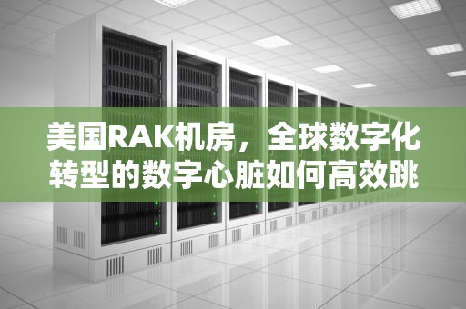 美国RAK机房，全球数字化转型的数字心脏如何高效跳动，美国cera机房