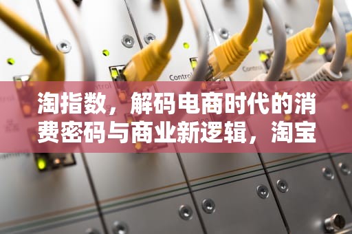 淘指数，解码电商时代的消费密码与商业新逻辑，淘宝指数查询官网