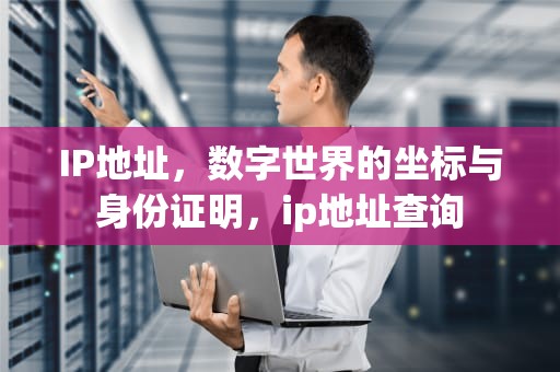 IP地址，数字世界的坐标与身份证明，ip地址查询