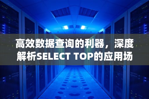 高效数据查询的利器，深度解析SELECT TOP的应用场景与优化技巧，selectToPage