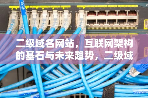 二级域名网站，互联网架构的基石与未来趋势，二级域名网站查询入口