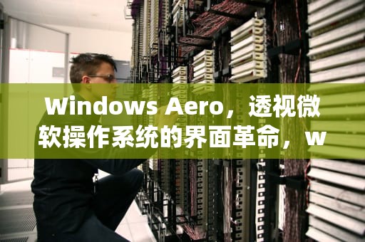 Windows Aero，透视微软操作系统的界面革命，windows aero的桌面性能怎么提高