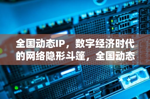 全国动态IP，数字经济时代的网络隐形斗篷，全国动态管控系统官网