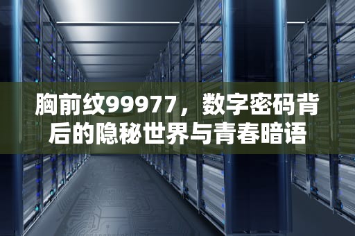 胸前纹99977，数字密码背后的隐秘世界与青春暗语