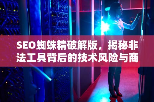 SEO蜘蛛精破解版，揭秘非法工具背后的技术风险与商业陷阱，蜘蛛精游戏