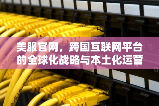 美服官网，跨国互联网平台的全球化战略与本土化运营启示录，任天堂美服官网
