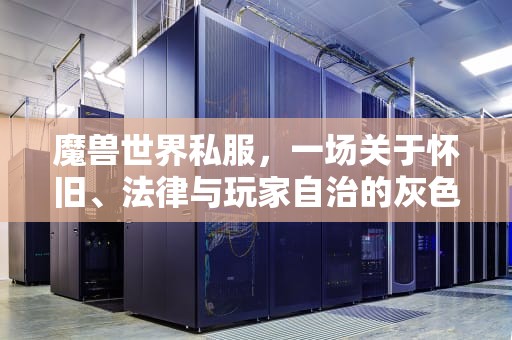 魔兽世界私服，一场关于怀旧、法律与玩家自治的灰色狂欢