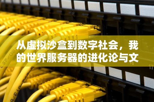 从虚拟沙盒到数字社会，我的世界服务器的进化论与文化启示，我的世界服务器推荐