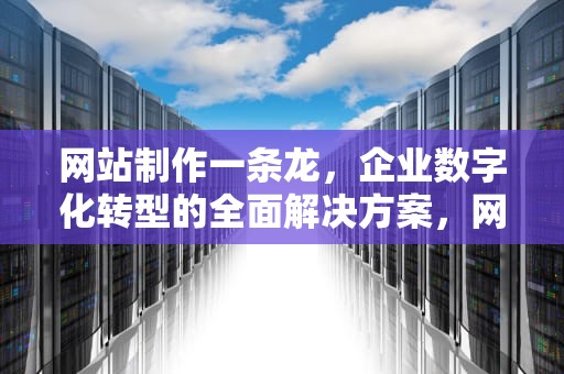网站制作一条龙，企业数字化转型的全面解决方案，网站制作一条龙全包