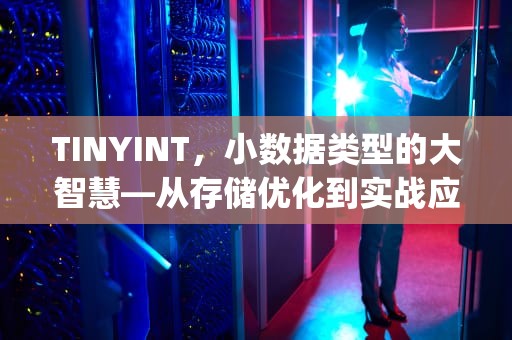 TINYINT，小数据类型的大智慧—从存储优化到实战应用，tinyint什么类型