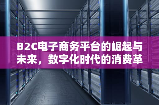 B2C电子商务平台的崛起与未来，数字化时代的消费革命，b2c电子商务平台有哪些