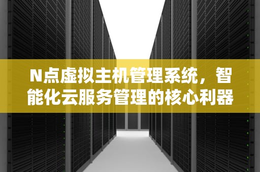 N点虚拟主机管理系统，智能化云服务管理的核心利器，n点虚拟主机管理系统模板