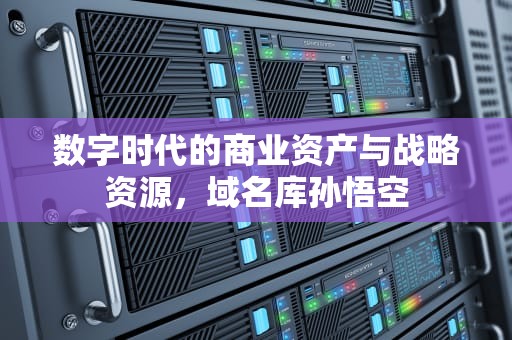 数字时代的商业资产与战略资源，域名库孙悟空