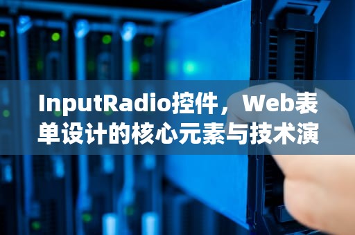 InputRadio控件，Web表单设计的核心元素与技术演进，inputradio单选
