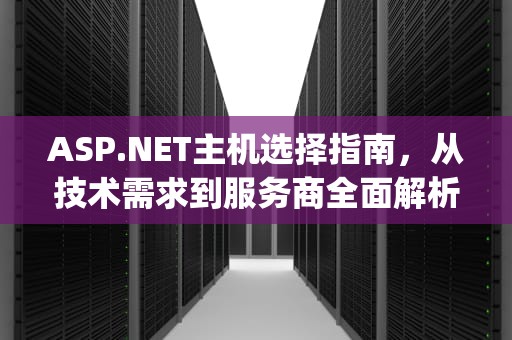 ASP.NET主机选择指南，从技术需求到服务商全面解析，asp.net machine