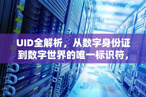 UID全解析，从数字身份证到数字世界的唯一标识符，uid是什么意思在哪里看