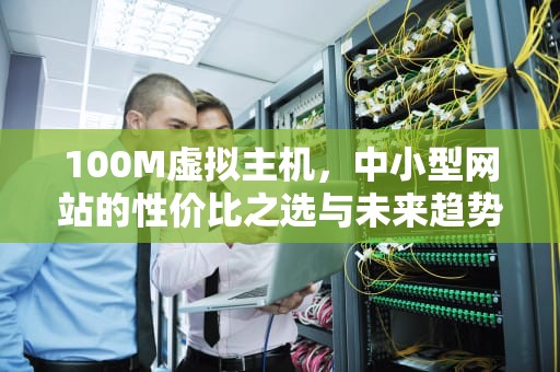 100M虚拟主机，中小型网站的性价比之选与未来趋势解析，虚拟主机1m带宽够用吗