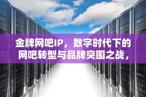 金牌网吧IP，数字时代下的网吧转型与品牌突围之战，金牌网吧怎么弄