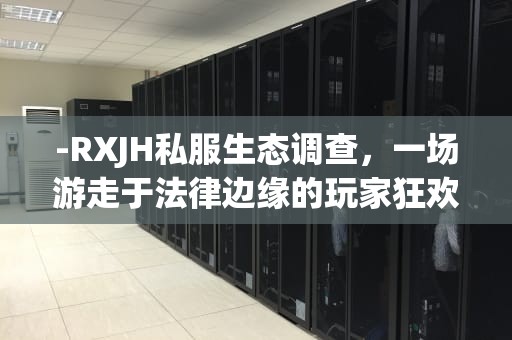 -RXJH私服生态调查，一场游走于法律边缘的玩家狂欢