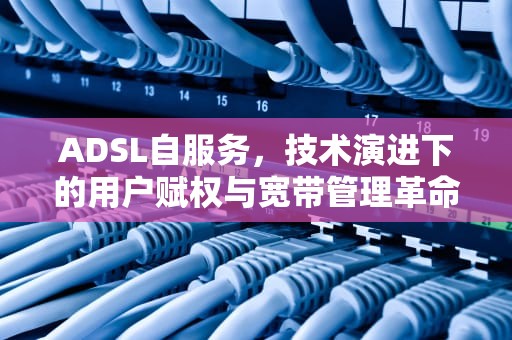 ADSL自服务，技术演进下的用户赋权与宽带管理革命，adsl服务器
