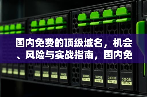 国内免费的顶级域名，机会、风险与实战指南，国内免费的顶级域名有哪些